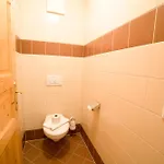 Apartment Haus Bliem *